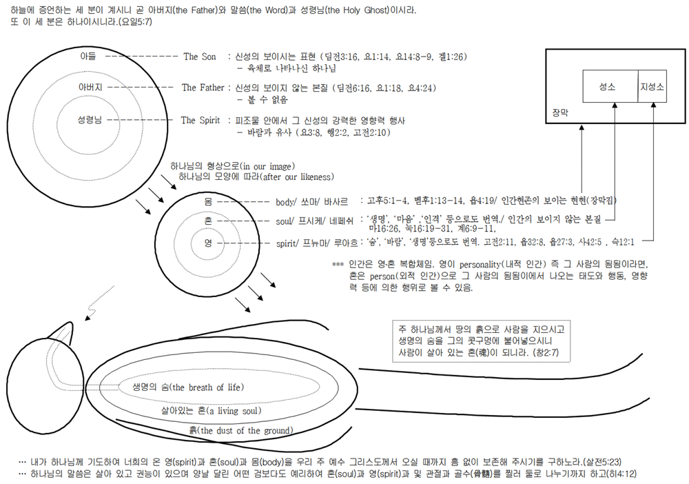 사람(아담)의 창조.gif