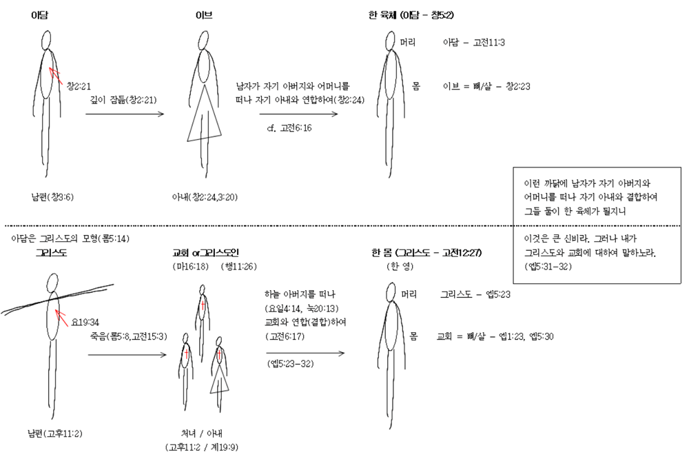 아담과 이브_그리스도와 교회.gif